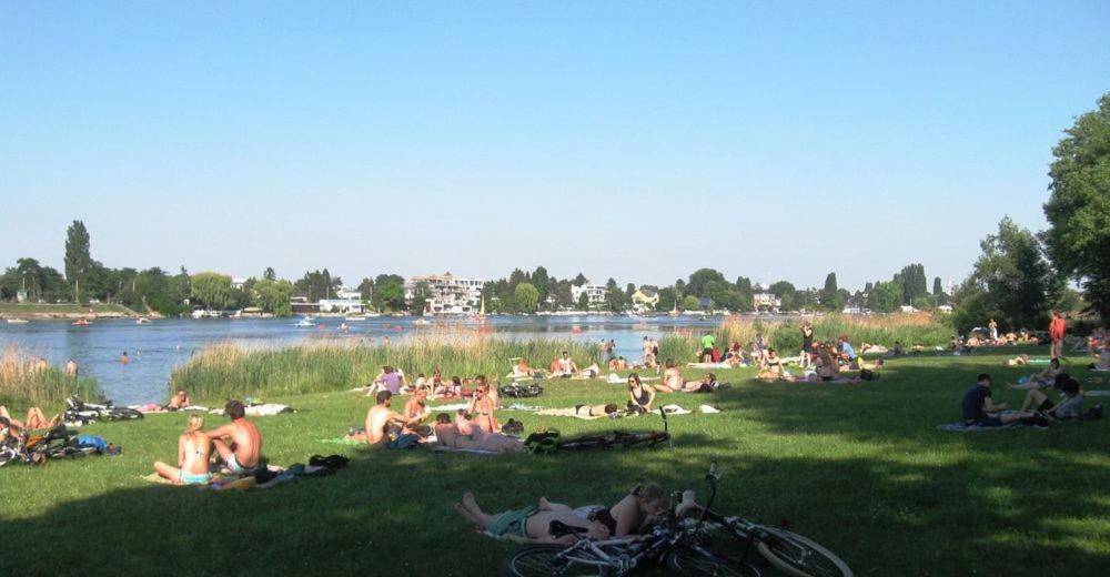 Schoenes Living Am Donauufer Вена Экстерьер фото